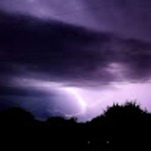 Meet your Posher, Joel